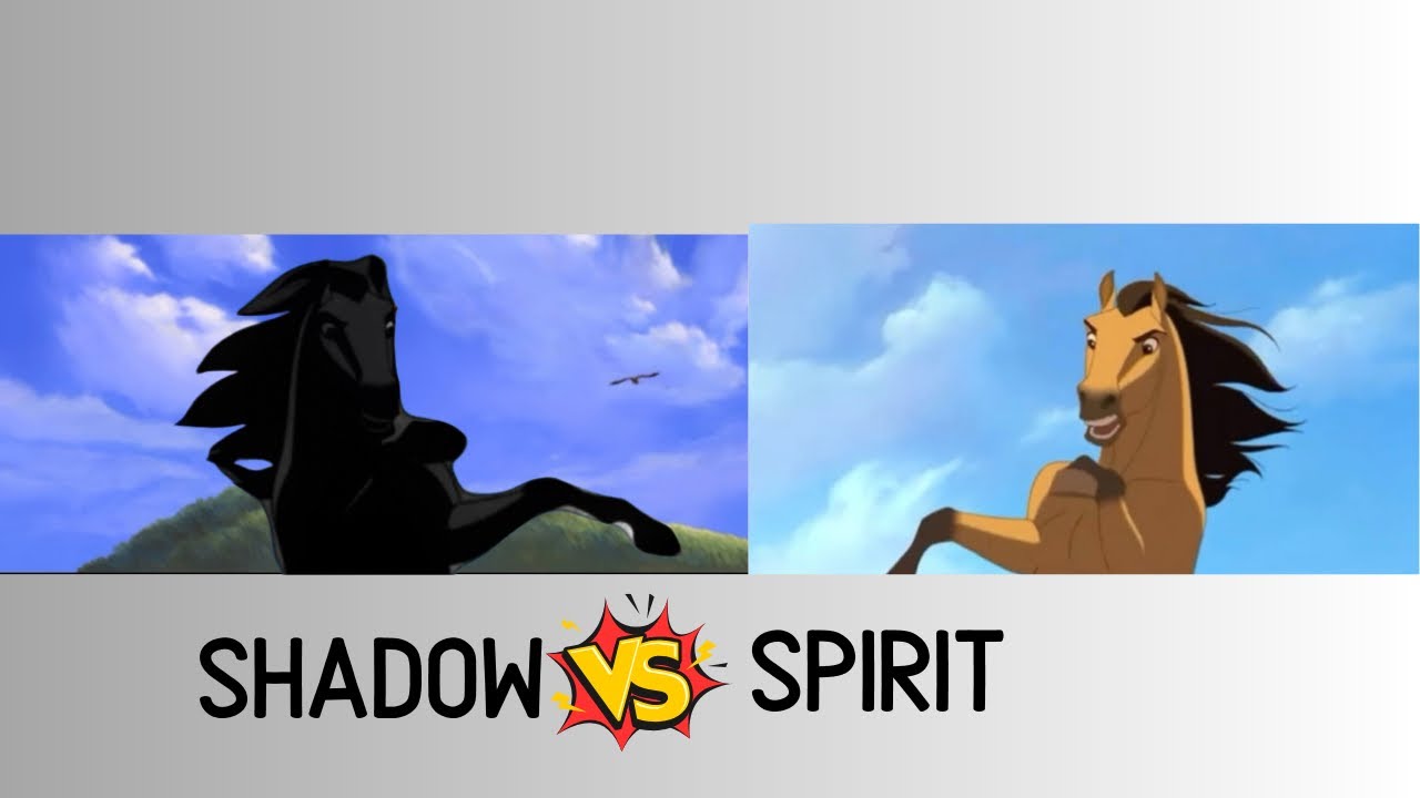 SHADOW VS SPIRIT