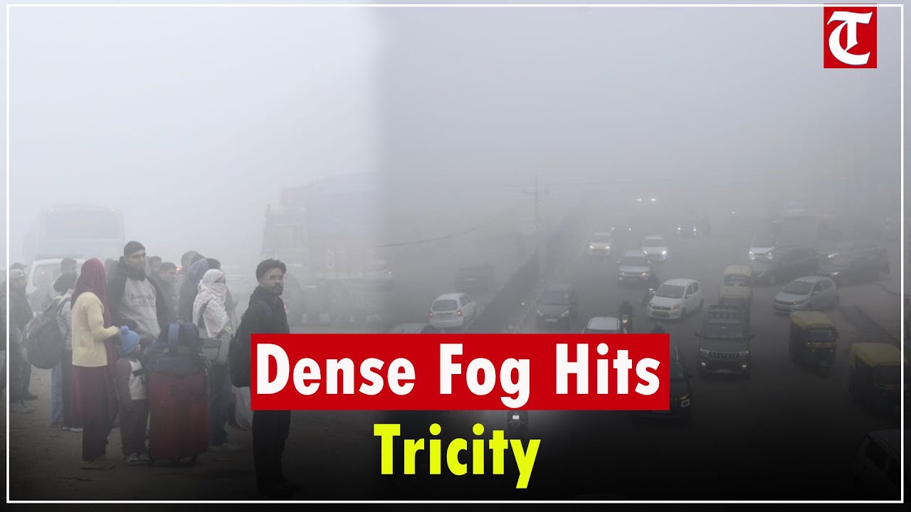 Dense Fog Engulfs Chandigarh Tricity, Visibility Drops, Traffic Disrupted Across Region