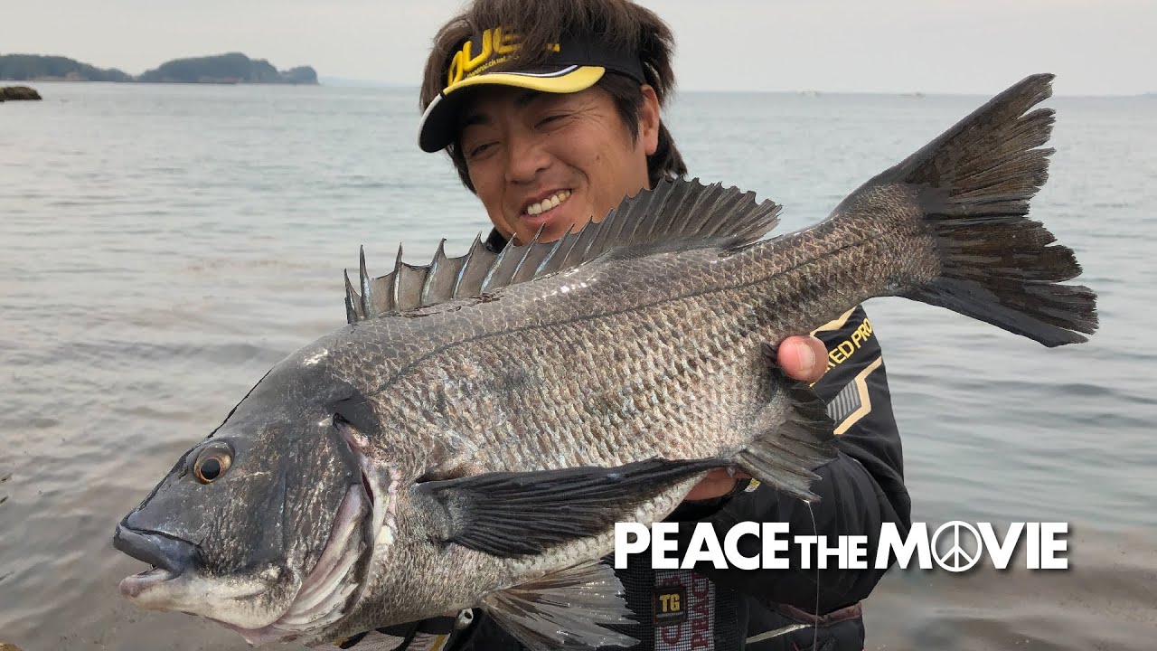 PEACE THE MOVIE #67「難儀な３月！湾内チヌ狙いが!?」九州地方・長崎県佐世保市の旅（後編）/平和卓也(907)