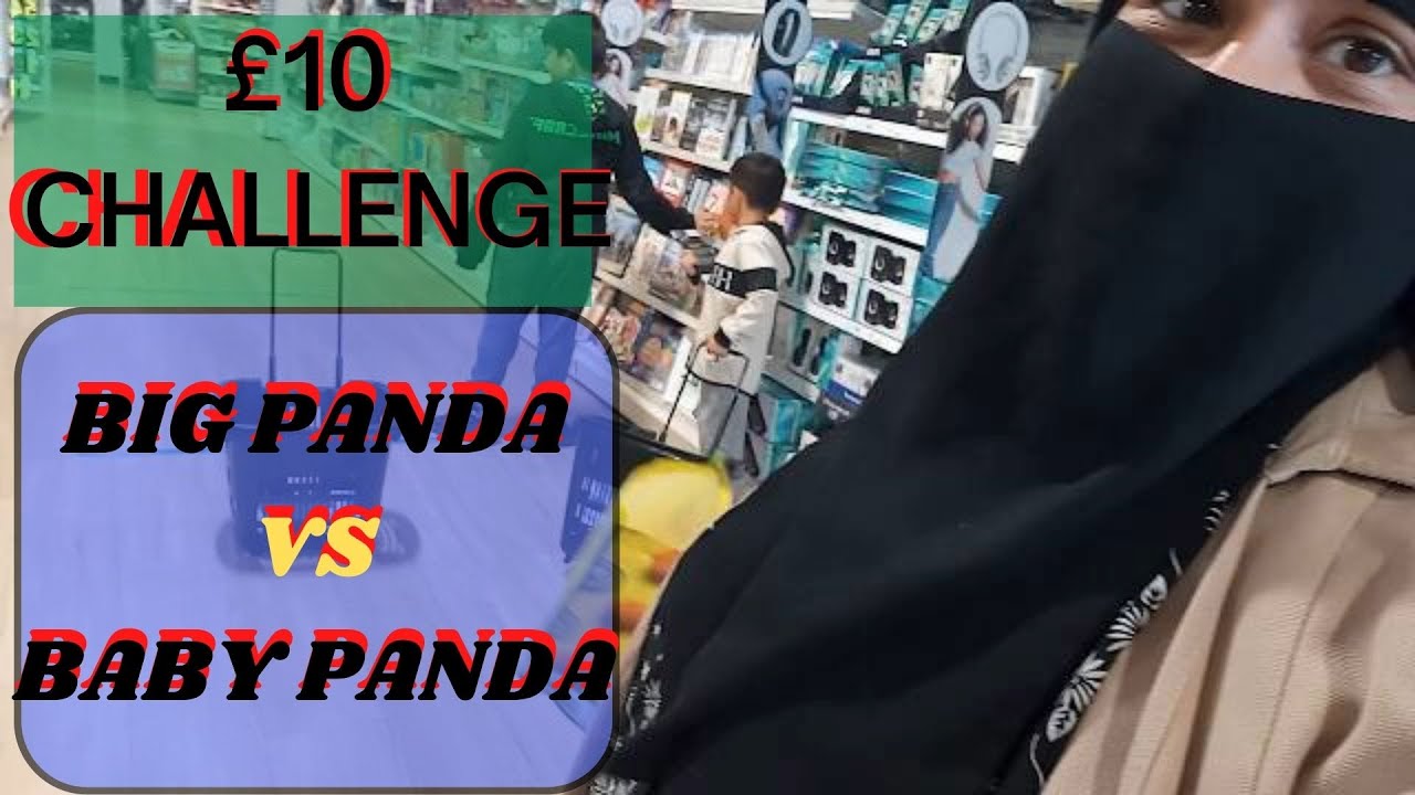 POUNDLAND £10 CHALLENGE-BIG PANDA VS LIL PANDA/MINI HAUL