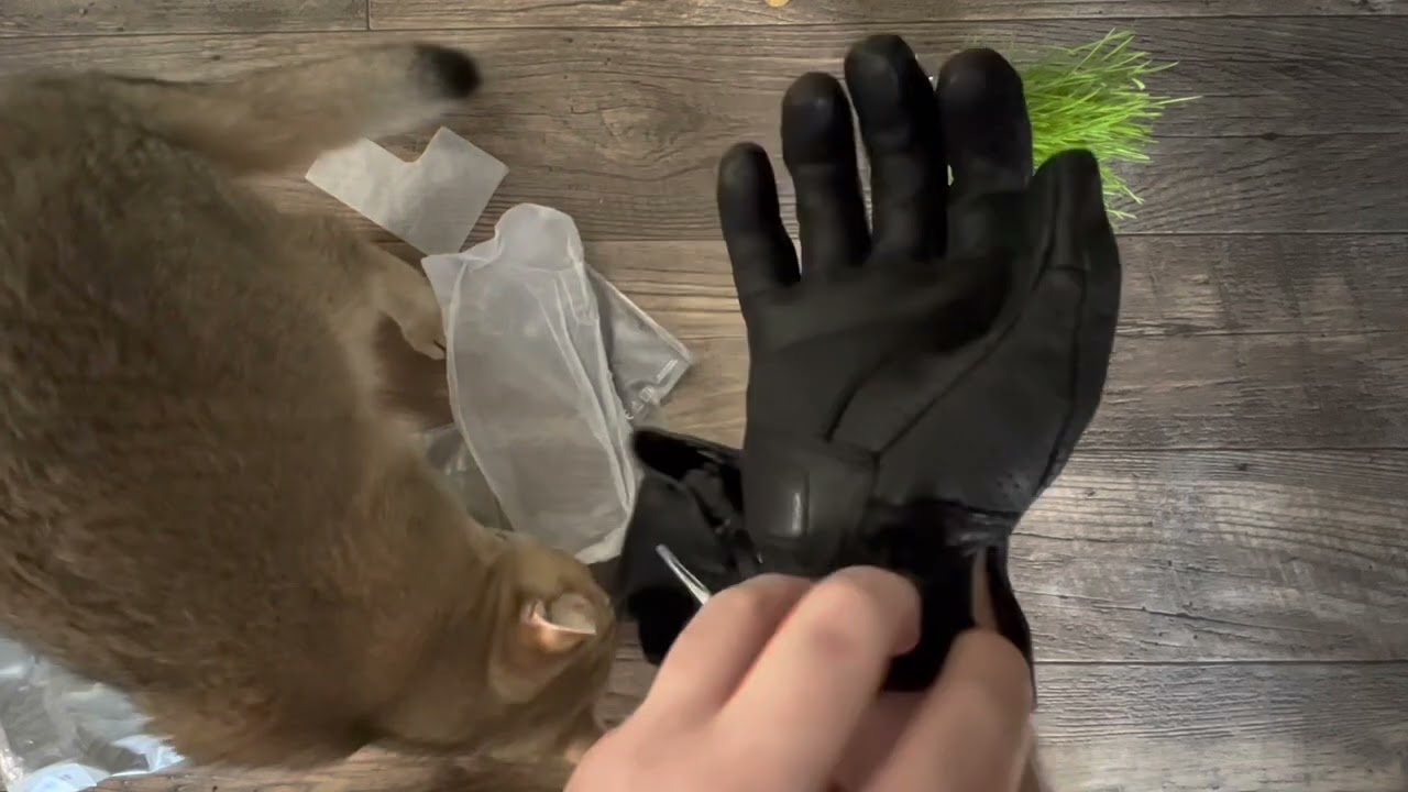 REVIT AVION 3 GLOVES