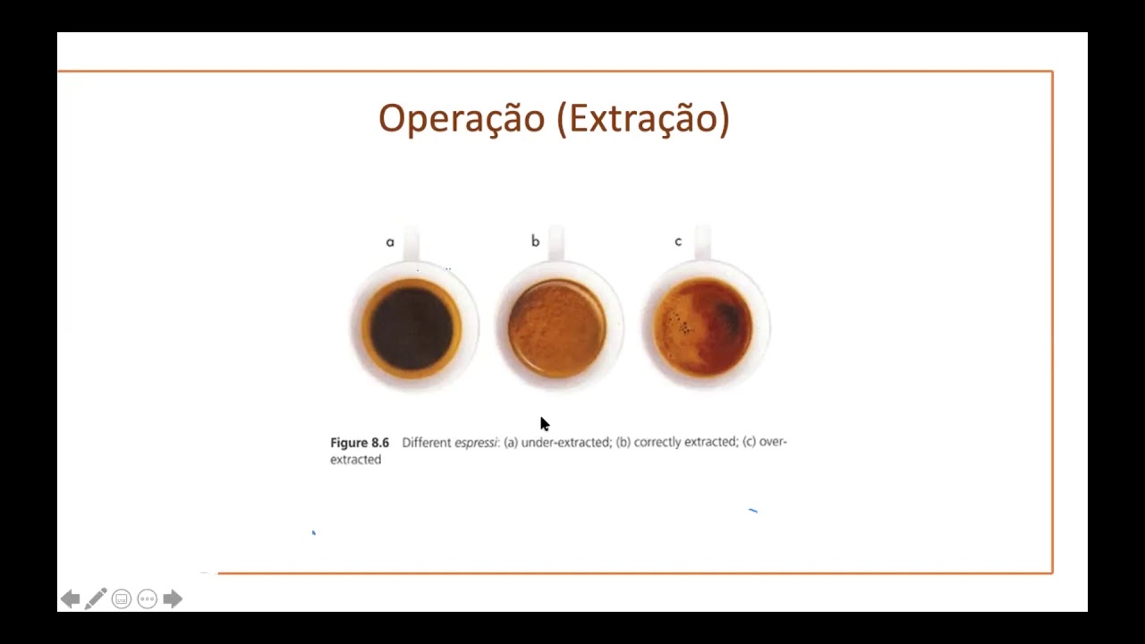 UM Coffee Co Academy - Aula 1: Breve História do Café (Parte 3)