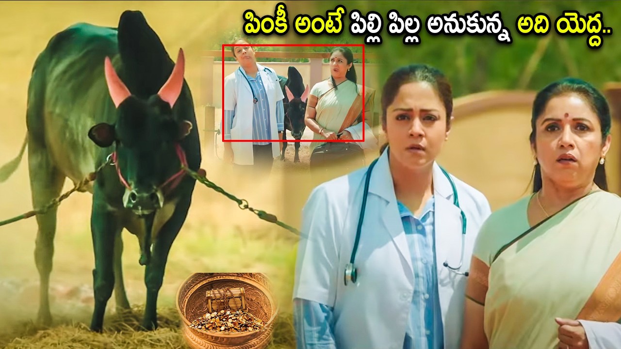 Jyothika & Revathi Super Hit Movie Bull Comedy Scene | Telugu Movies | Cinema Chupistha
