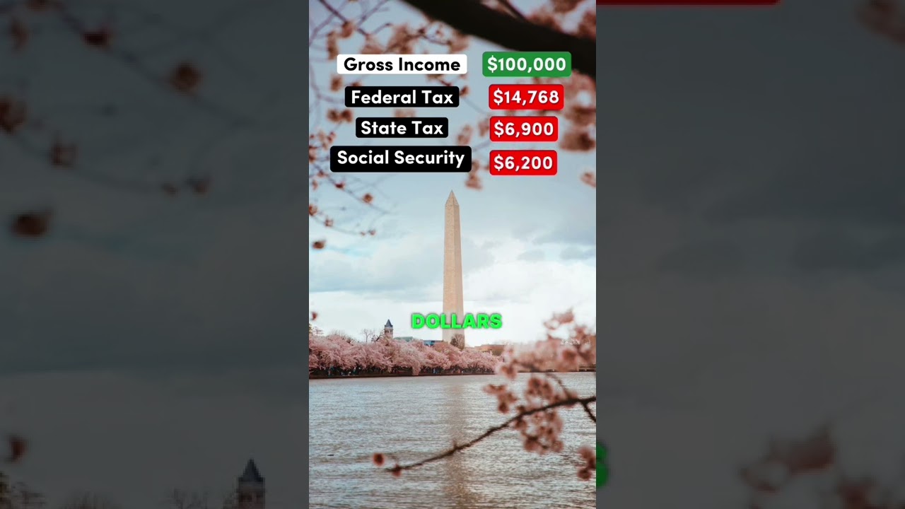 Жизнь на зарплату в 100 000 долларов в Вашингтоне, округ Колумбия #вашингтондк #вирусный #работа