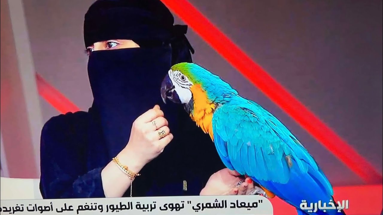 لقائي في قناة الإخبارية برنامج الراصد
