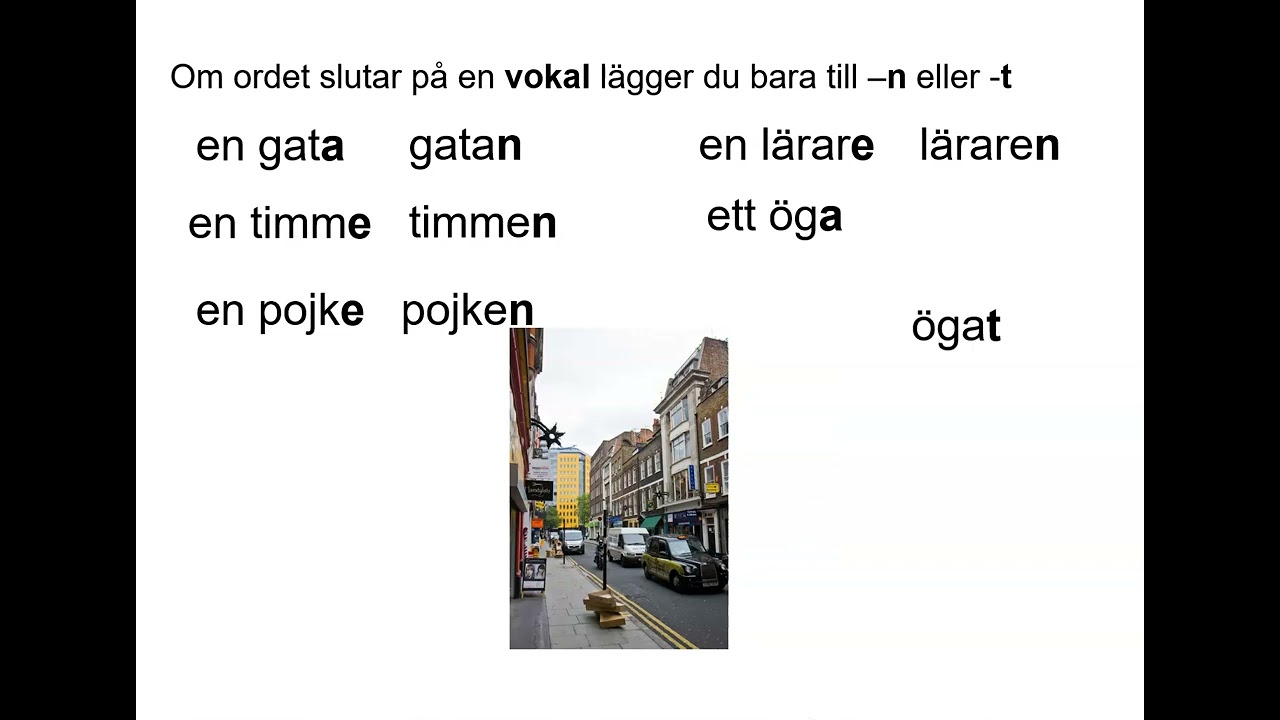 sfigunilla SFI substantiv bestämd och obestämd form