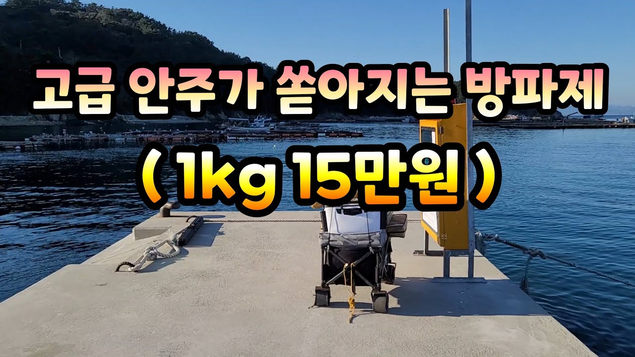 진짜 미치도록 열심히 낚시했습니다 !!!