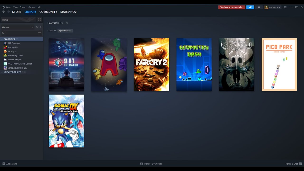 STEAM ACCOUNT WITH HOLLOW KNIGHT