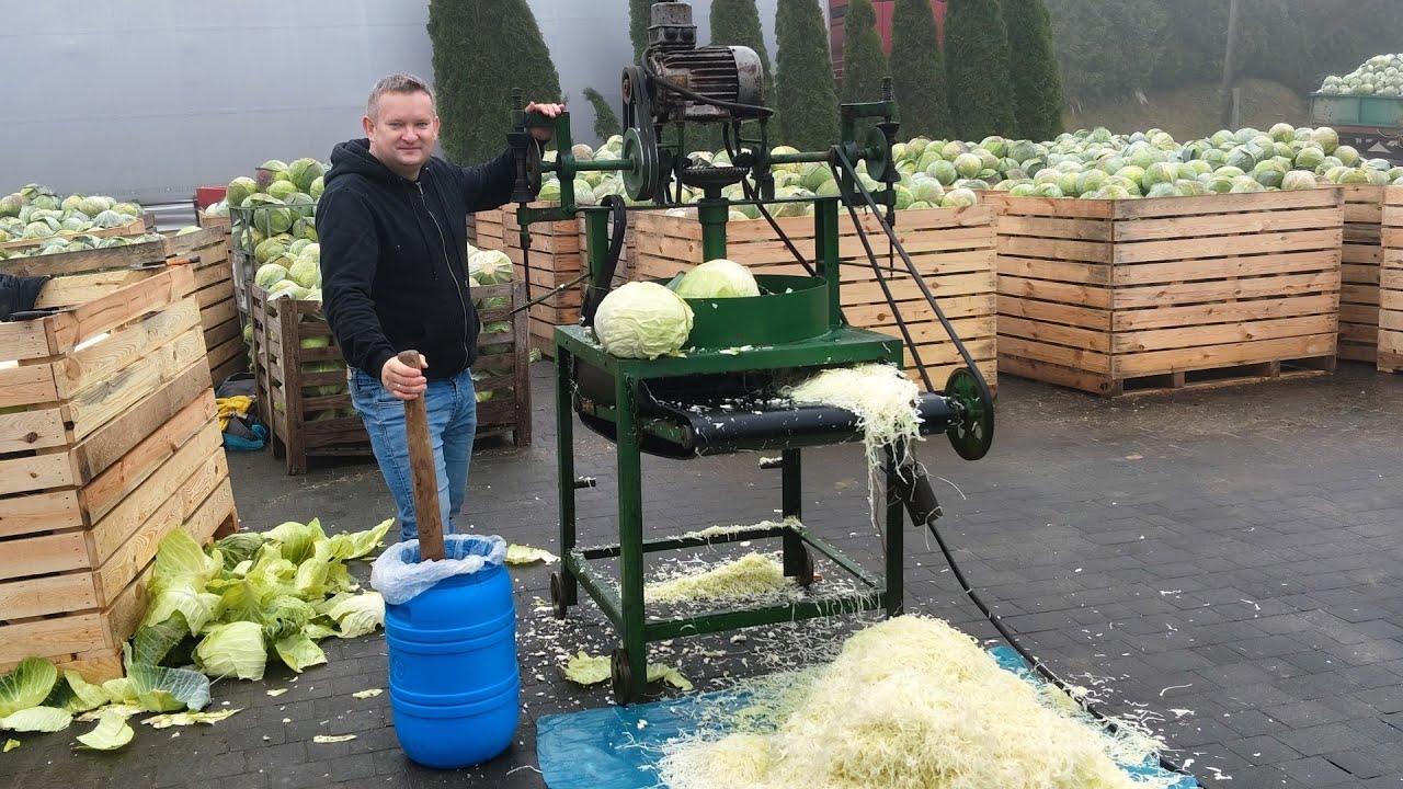 34. KAPUSTA KISZONA OD PODSTAW 🙂
