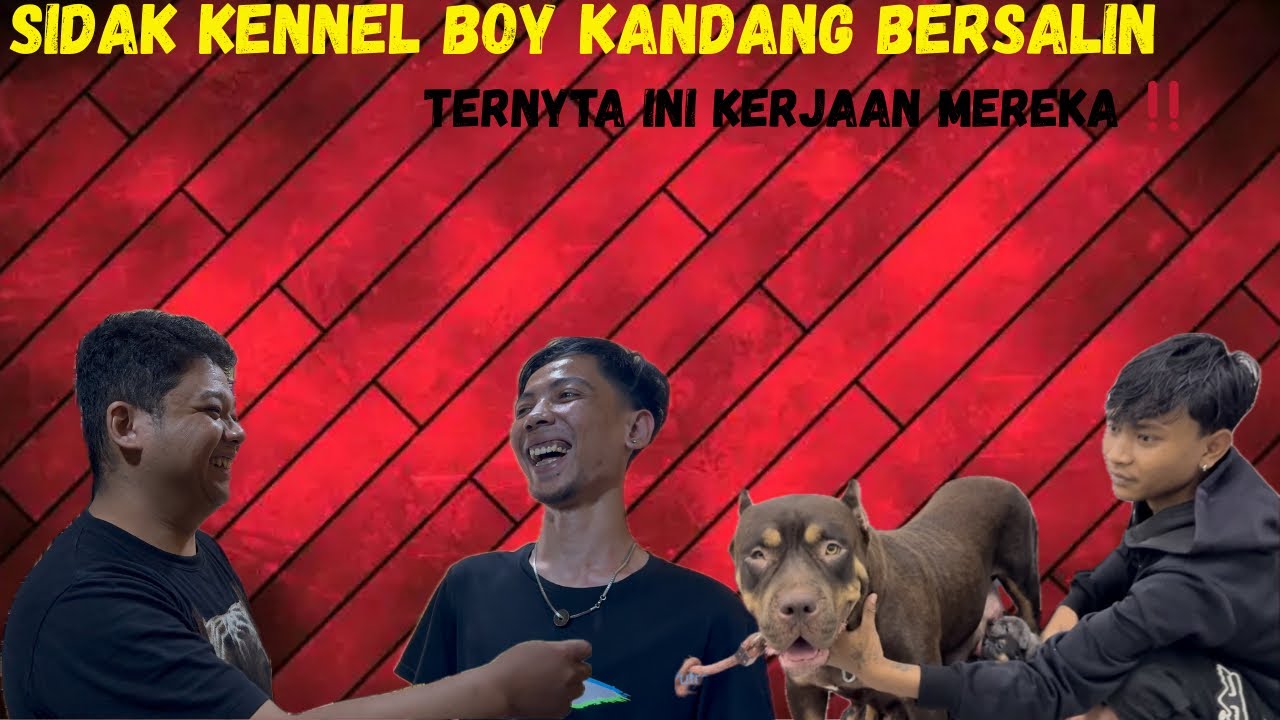 Sidak rumah bersalin Jambisuperbulls ‼️‼️