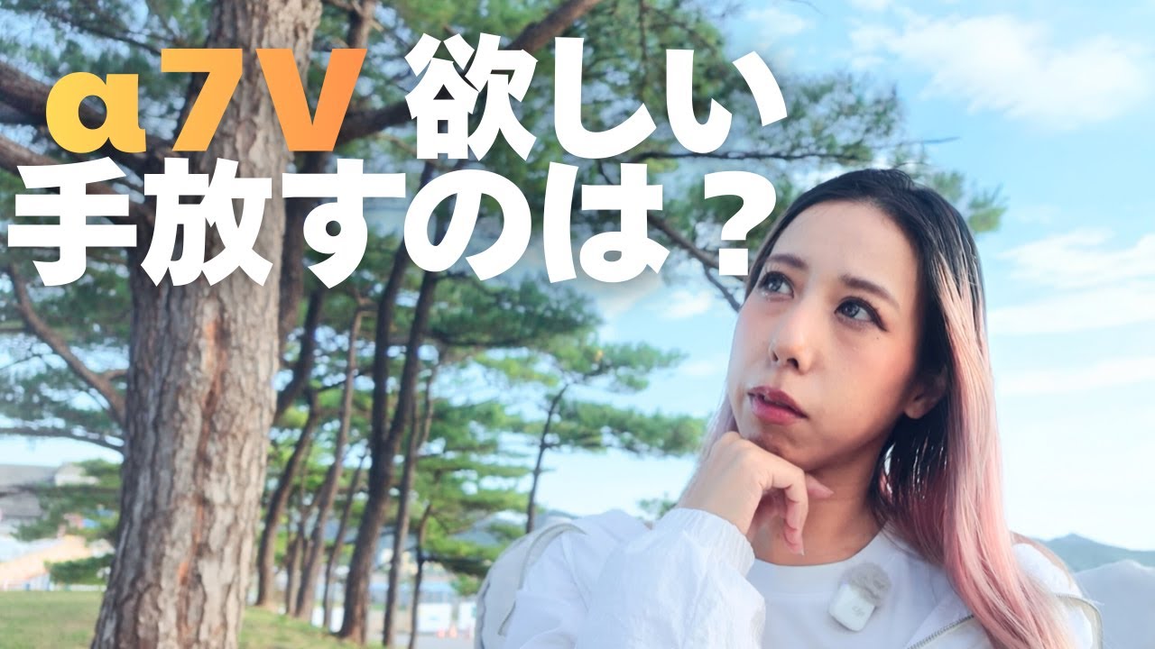 α7Ⅴが欲しい...どれを手放すべきか本気で悩んだ。