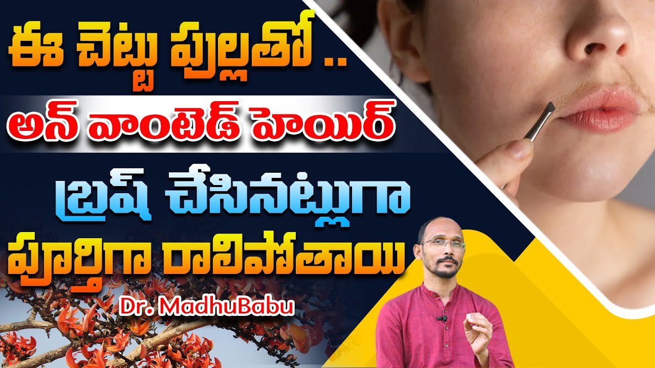ఈ చెట్టు పుల్లతో అన్ వాంటెడ్ హెయిర్ పూర్తిగా రాలిపోతాయి | Dr. MadhuBabu | Health Trends |