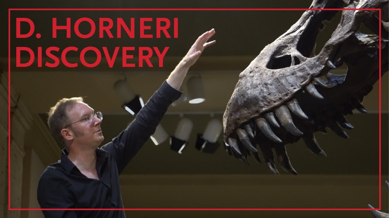 Dr. Thomas Carr Introduces the Daspletosaurus Horneri