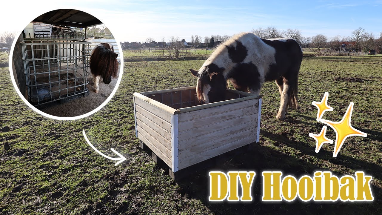 DIY HOOIBAK van grotendeels gerecycled materiaal! | Vlog#95 |  Dwally's Horses
