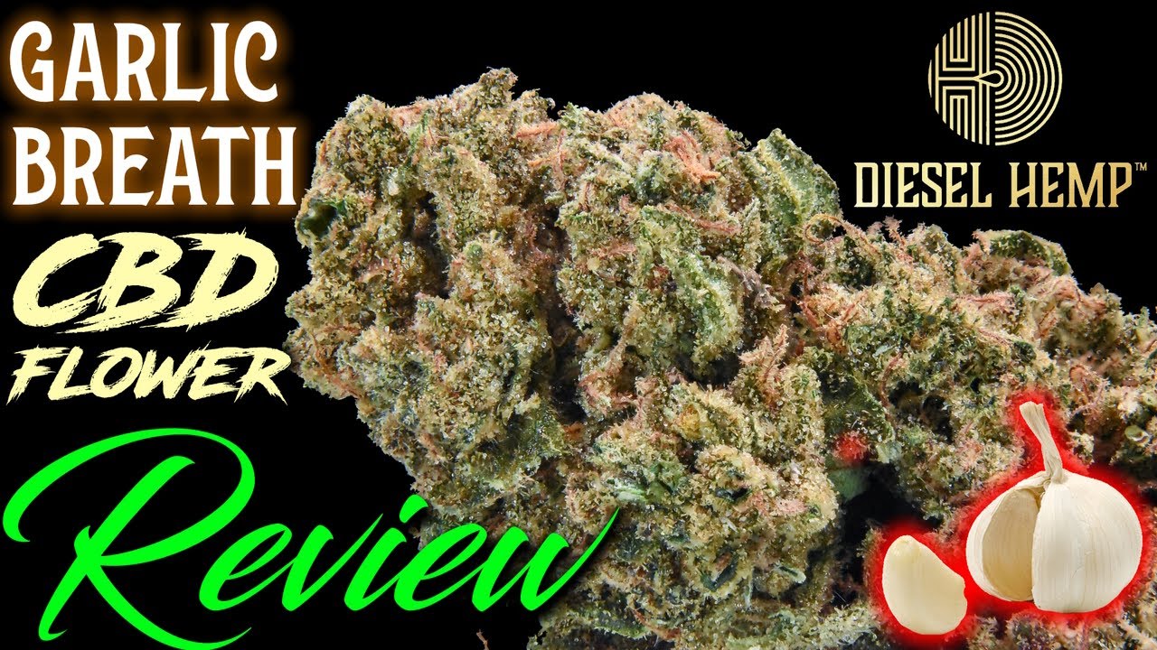 Garlic Breath - GMO X Abacus Diesel | CBD Hemp Flower Review