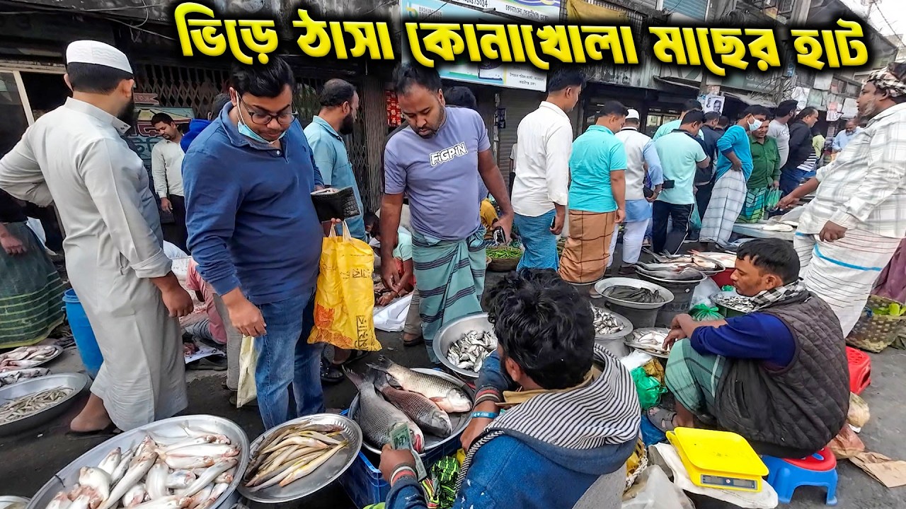 শুক্রবার মানেই কোনাখোলা মাছের হাট! পদ্মা–মেঘনার মাছের বিশাল সমাহার | Fish Hat Konakhola