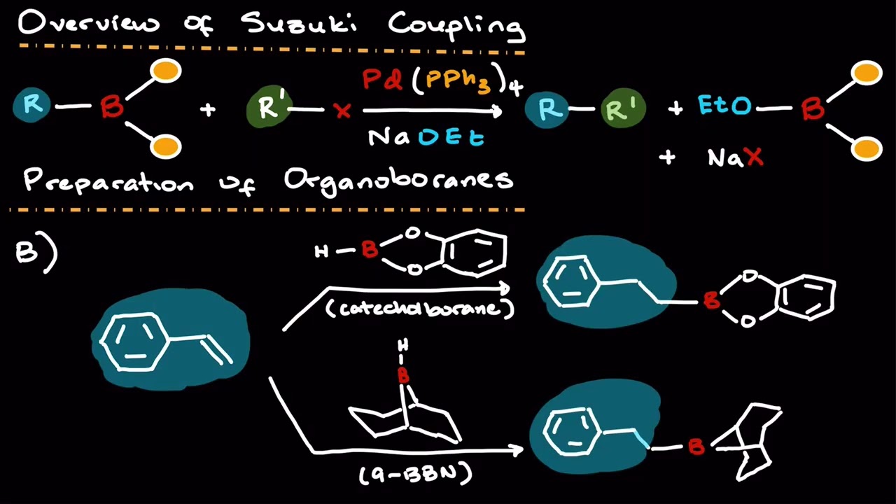 Organometallics Explained: The Suzuki Coupling Reaction & Mechanism