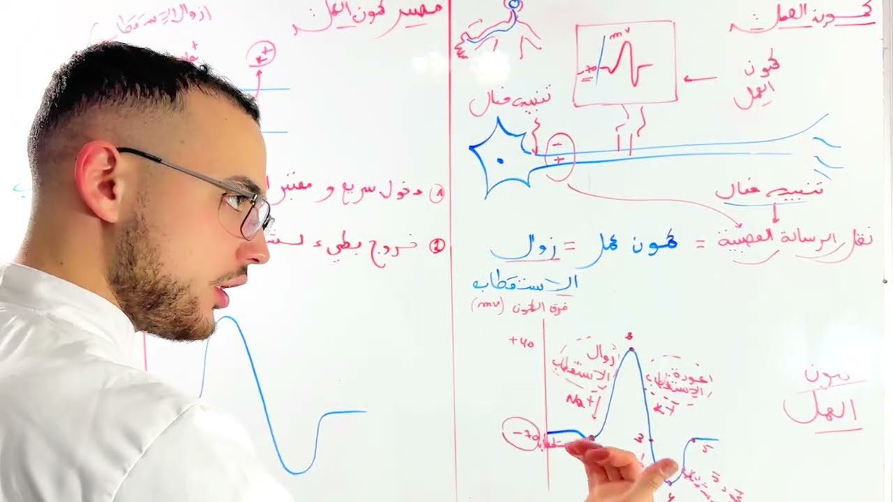 الوحدة 05 : كمون العمل (مستحييل ماتفهمش) ‼️‼️