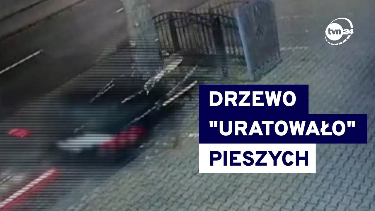 Uderzył autem w drzewo, mógł zginąć on i piesi. O włos od tragedii w Międzyrzeczu @TVN24