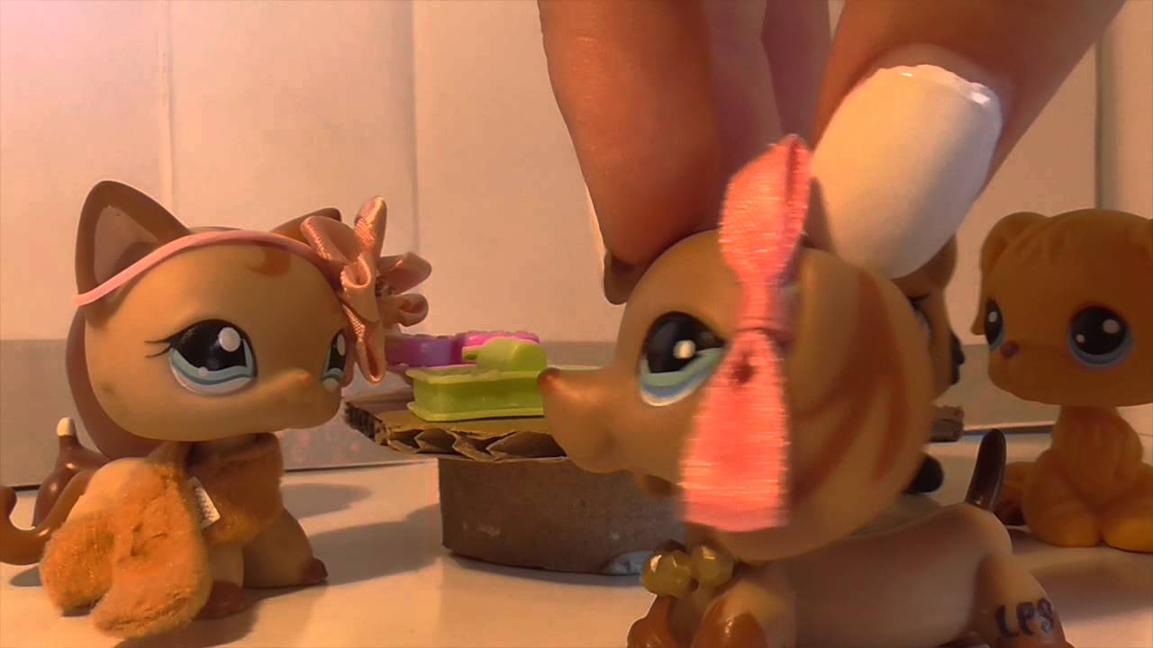 LPS Don't Bully