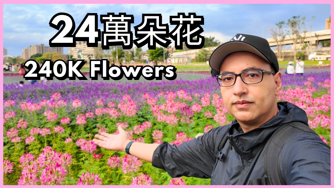 捷運就能到的台北花海  I Took the MRT to Taipei’s Flower Sea