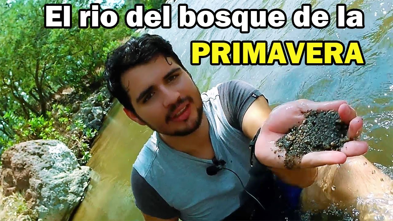 Actividades, precios y c&oacute;mo llegar al El R&iacute;o caliente del Bosque de la primavera