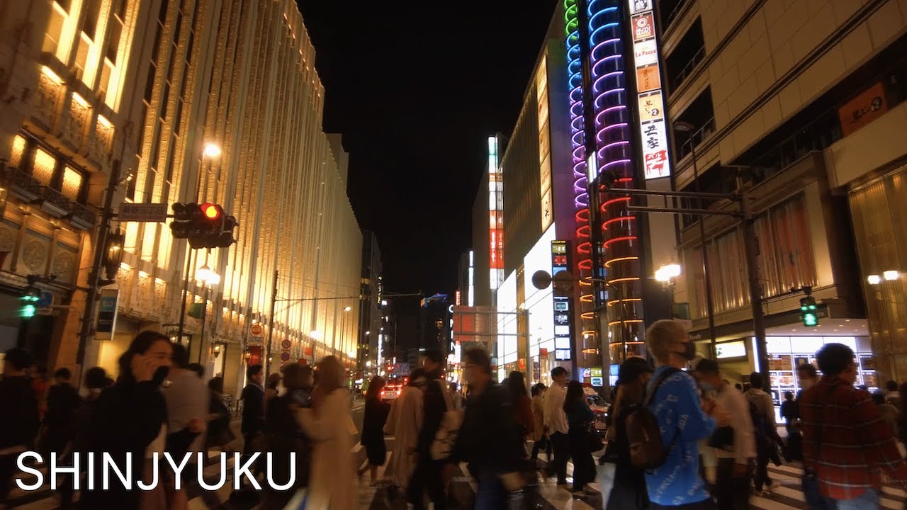 夜の新宿駅周辺散歩/Shinjuku night walk【4K】