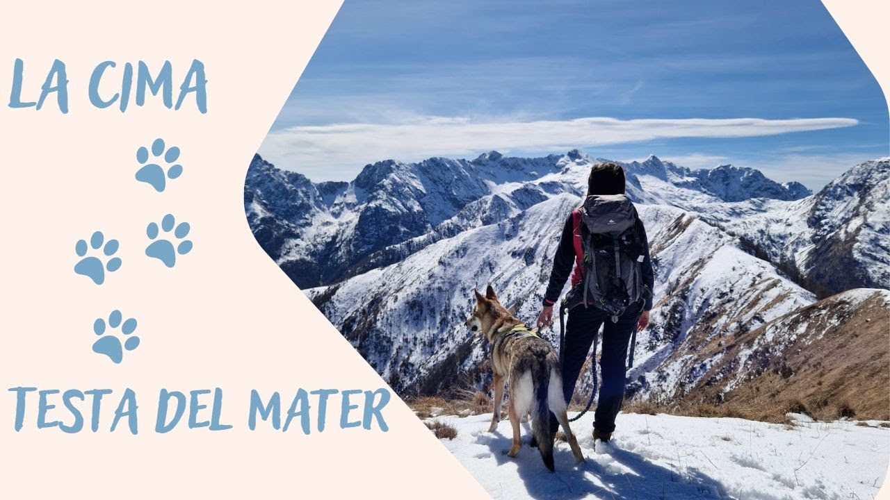 La Cima e Testa del Mater - Trekking 4 zampe