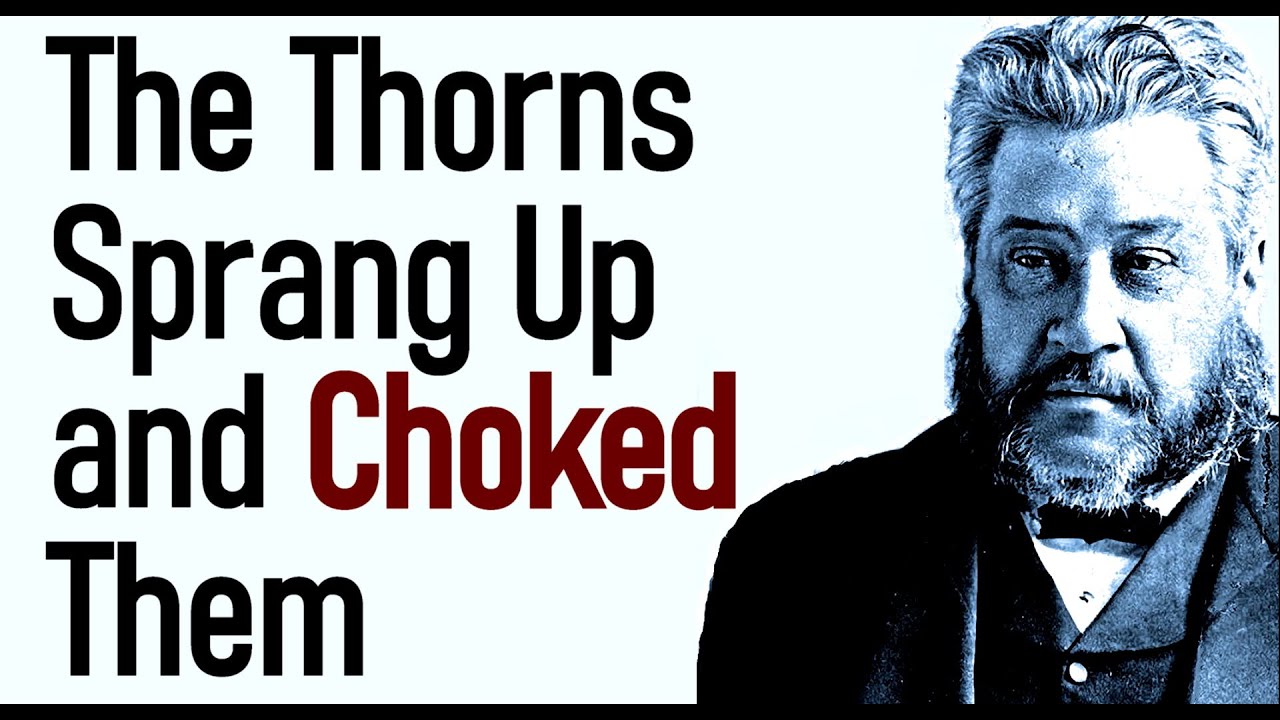 Sown Among Thorns! - Charles Spurgeon Sermon (Matthew 13:7)