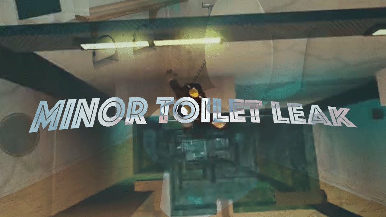 That Plumbing Bill do be rising || Minor Toilet Leak (Extreme) by @moonlyte856