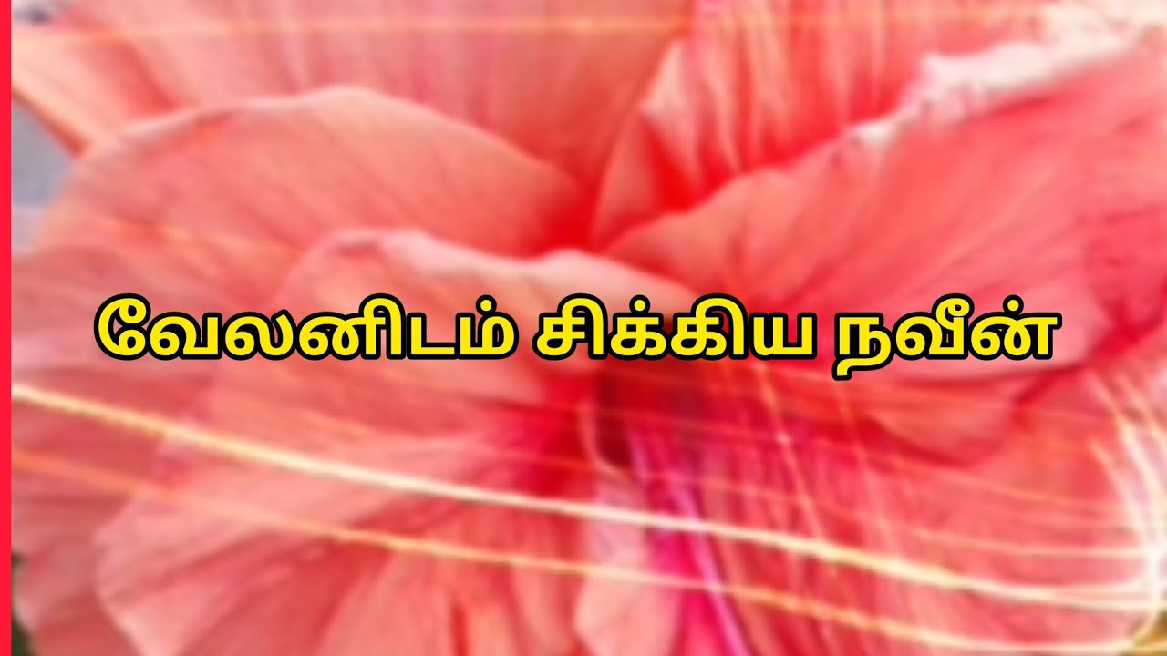 Sakthivel Part-2 Prediction |6th to 7th February 2026|வேலனிடம் சிக்கிய நவீன் |என் கணிப்பு  