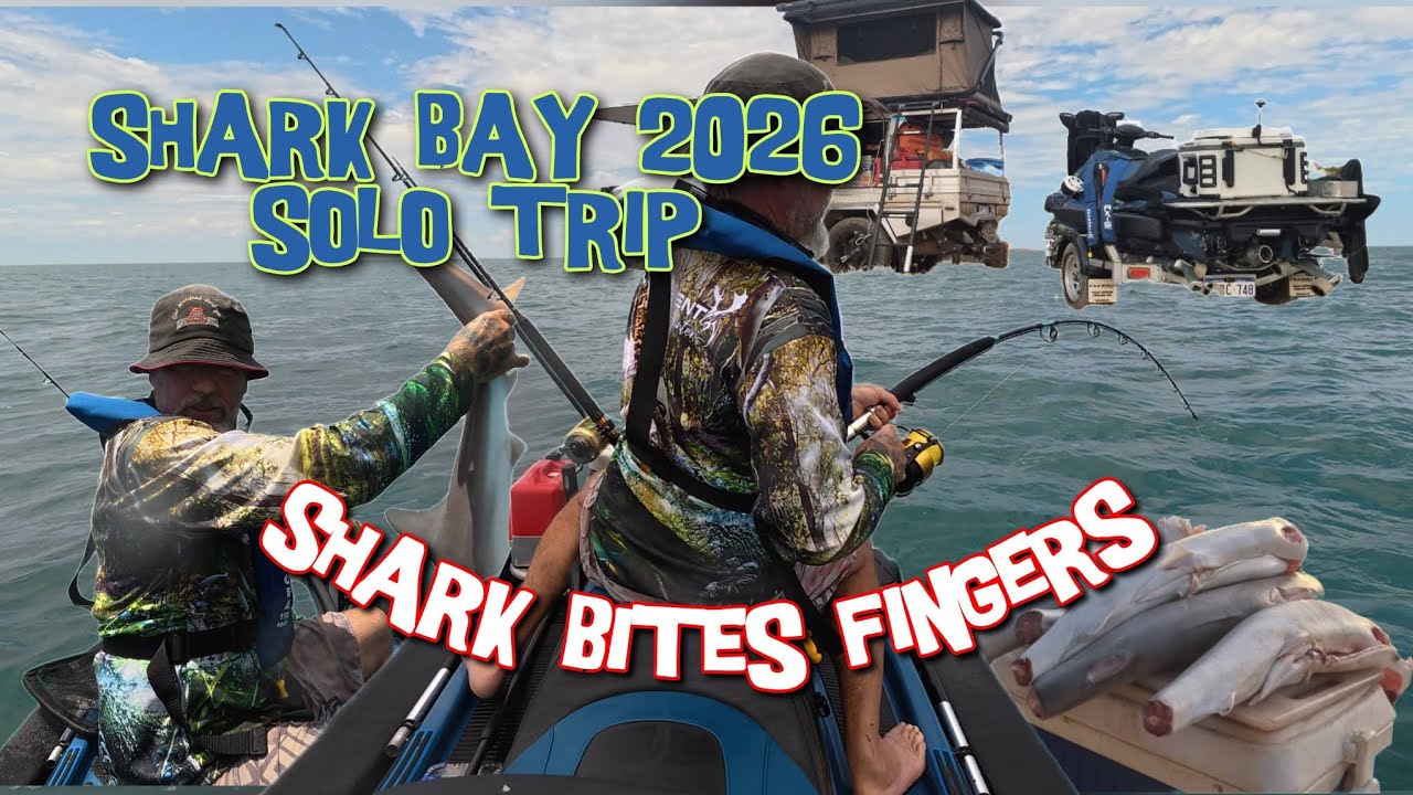 SHARK BAY SOLO JETSKI TRIP | TURNS BAD SHARK BITE | NANGA BAY