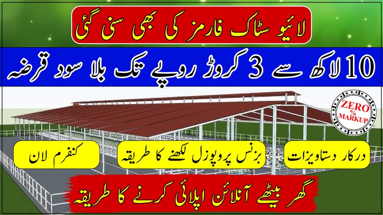 CM Punjab Asaan Karobar Finance 2025| Interest free loan for livestock farm making| zero markup loan