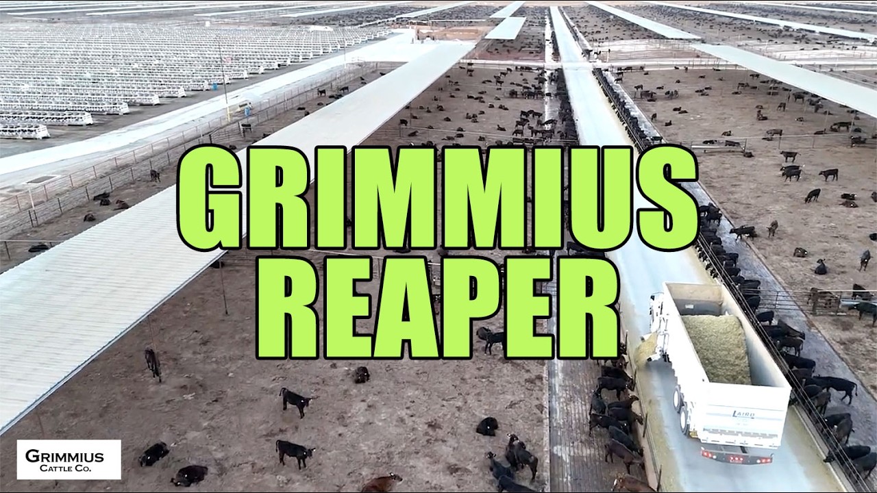 Cowschwitz: Grim-Is-Us Cattle Co. PROMO VIDEO