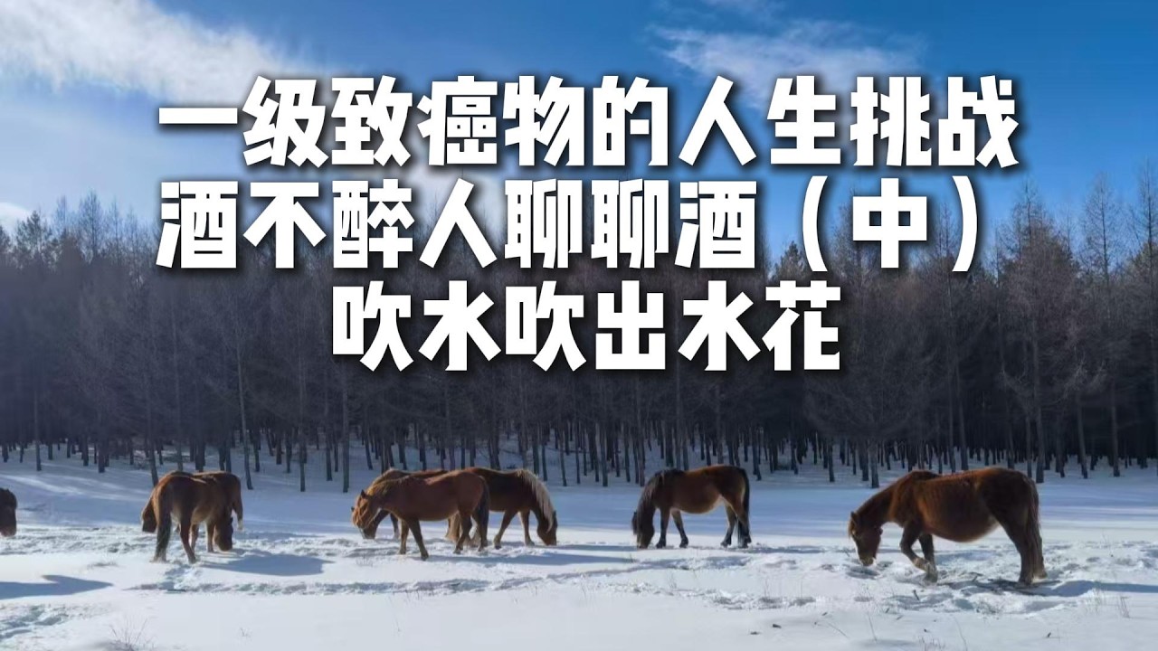 酒是一级致癌物，为什么还有这么多人爱喝？人生挑战，打怪升级，酒不醉人聊聊酒（中），吹水吹出水花