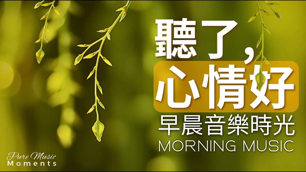早晨音樂時光 |🌤️清晨微光鋼琴音樂 1小時｜早晨療癒旋律｜放鬆・專注・讀書・工作｜鋼琴水晶音樂｜每一段鋼琴旋律都為今天帶來好心情 #morningmusic #pianomusic #鋼琴音樂