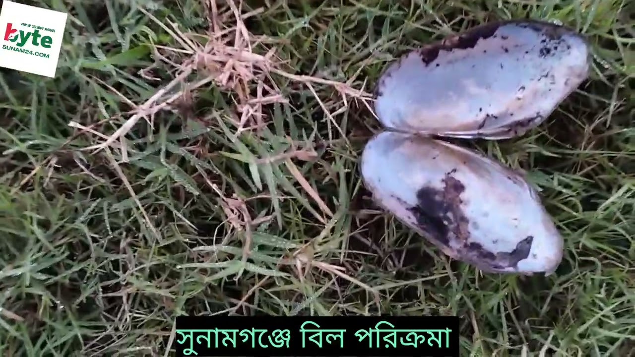 সুর বিল পরিক্রমা 