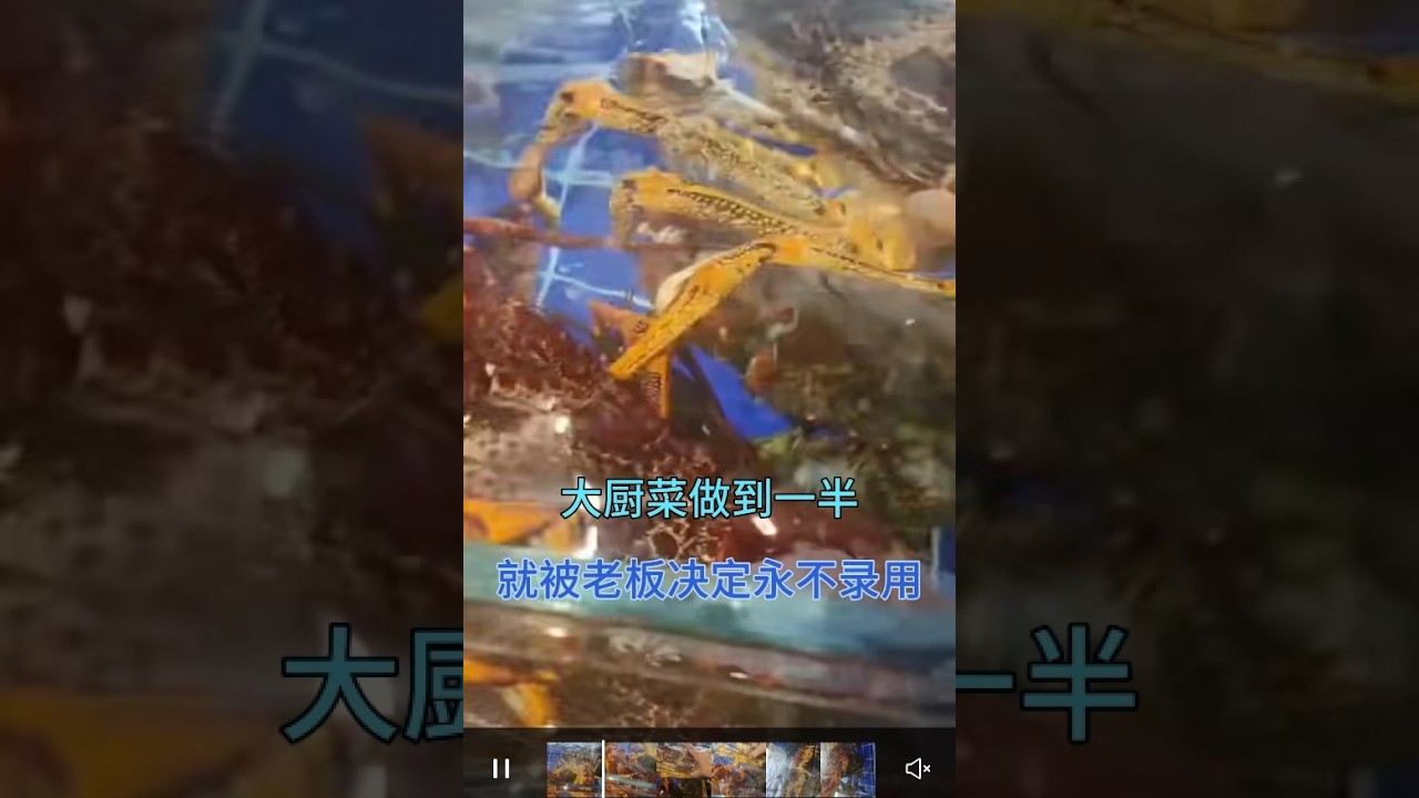 酒店大厨来试菜，因为一个动作菜做到一半，就被老板决定永不录用#美食 #厨师