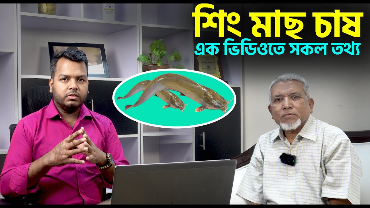 শিং মাছ চাষ || বিজ্ঞানভিত্তিক শিং চাষ || অধিক ঘনত্বে শিং মাছের চাষ || Shakib AGRO