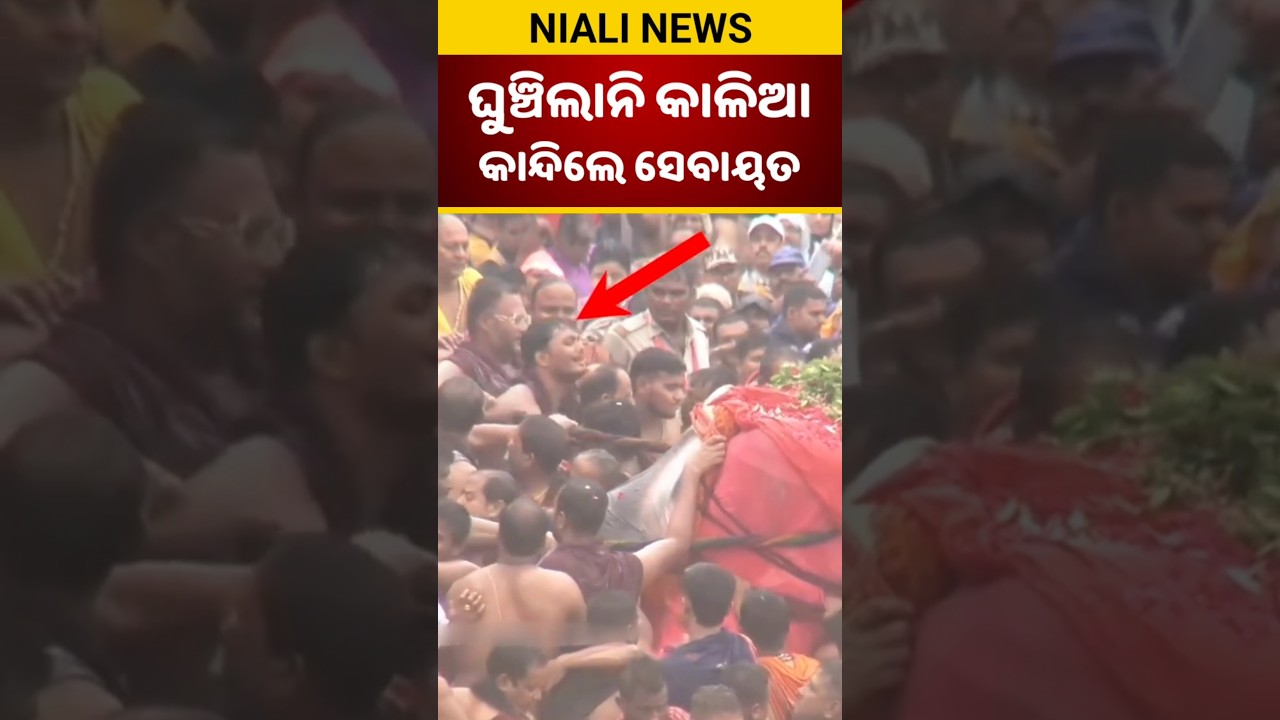 ଘୁଞ୍ଚିଲାନି କାଳିଆ କାନ୍ଦିଲେ ସେବାୟତ ⭕❗⭕ Jagannath | Puri | Rathayatra