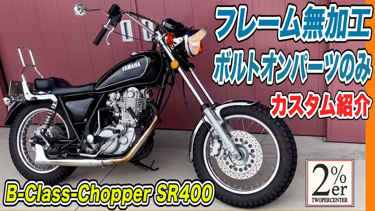 [Введение] Измельчитель SR400 Custom 2%ER измельчитель № 233