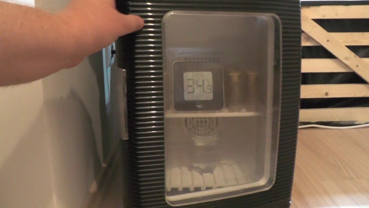 Königinnen Zucht Brutschrank Test - Lucky Reptile (teil 2) eine Frühgeburt :D