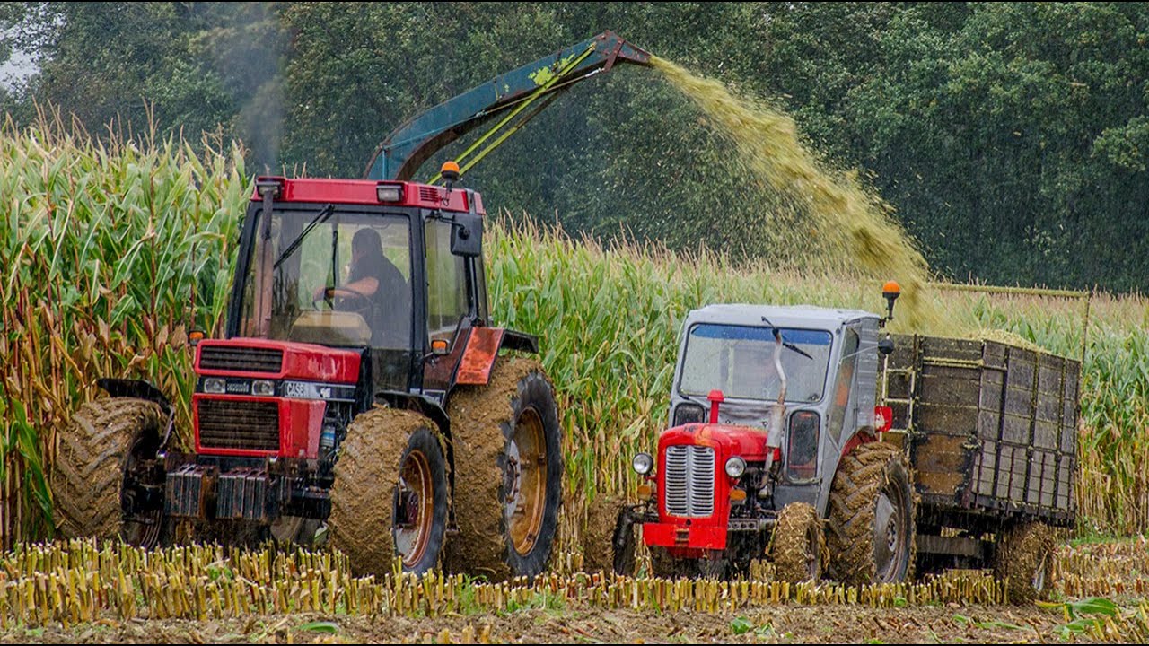 Ensilage à l'ancienne 2021 !