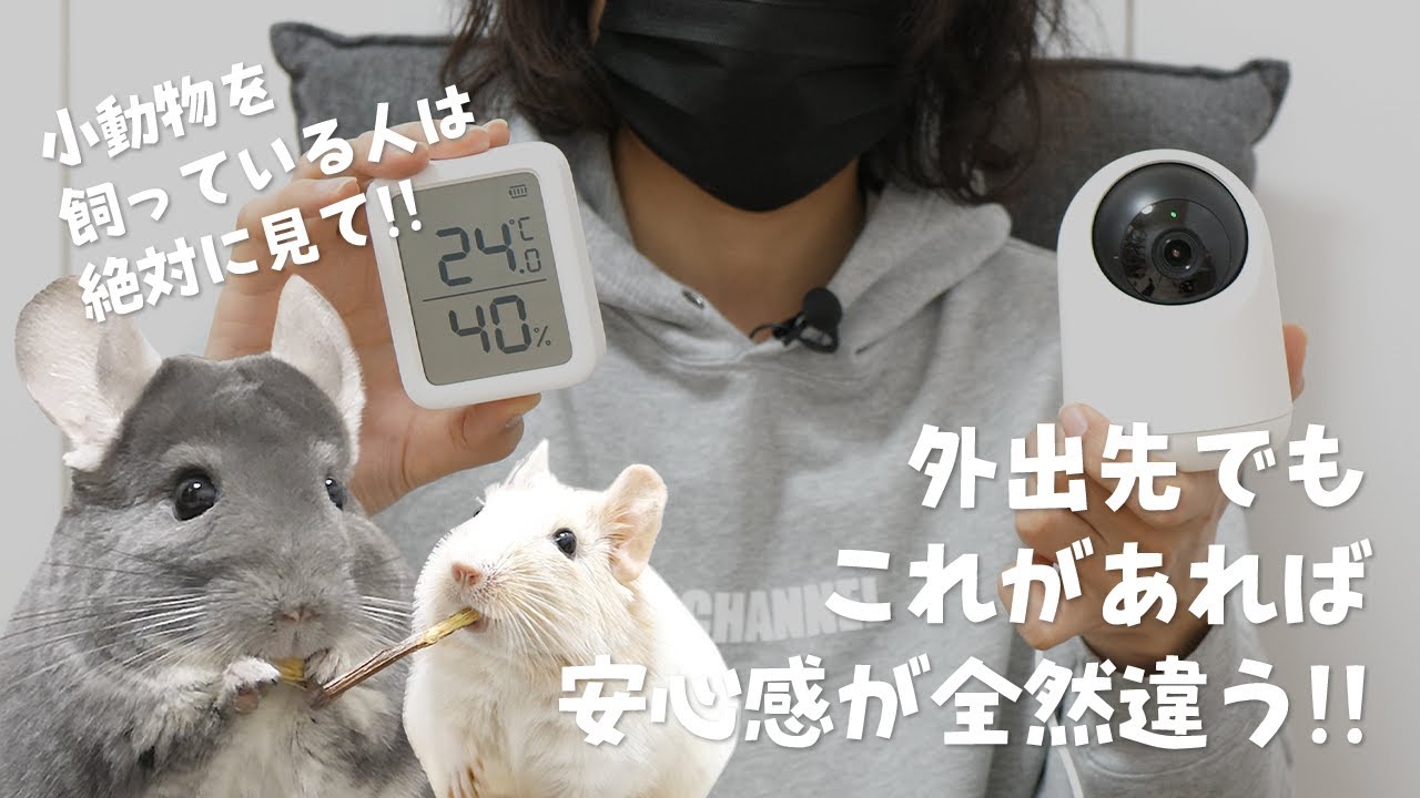 【小動物を飼っている人は絶対に見て】新しくなったSwitchBotの温湿度計と見守りカメラが最高すぎる！