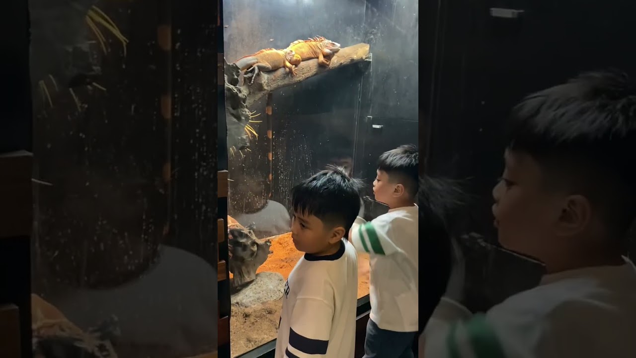 Creepy Reptiles - Feb 07, 2026