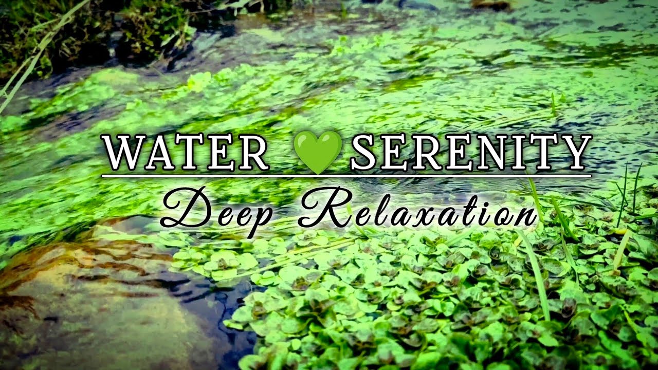 Waters of Serenity 💚 Gentle River & Rain Sounds for Sleep, Meditation & Relaxation