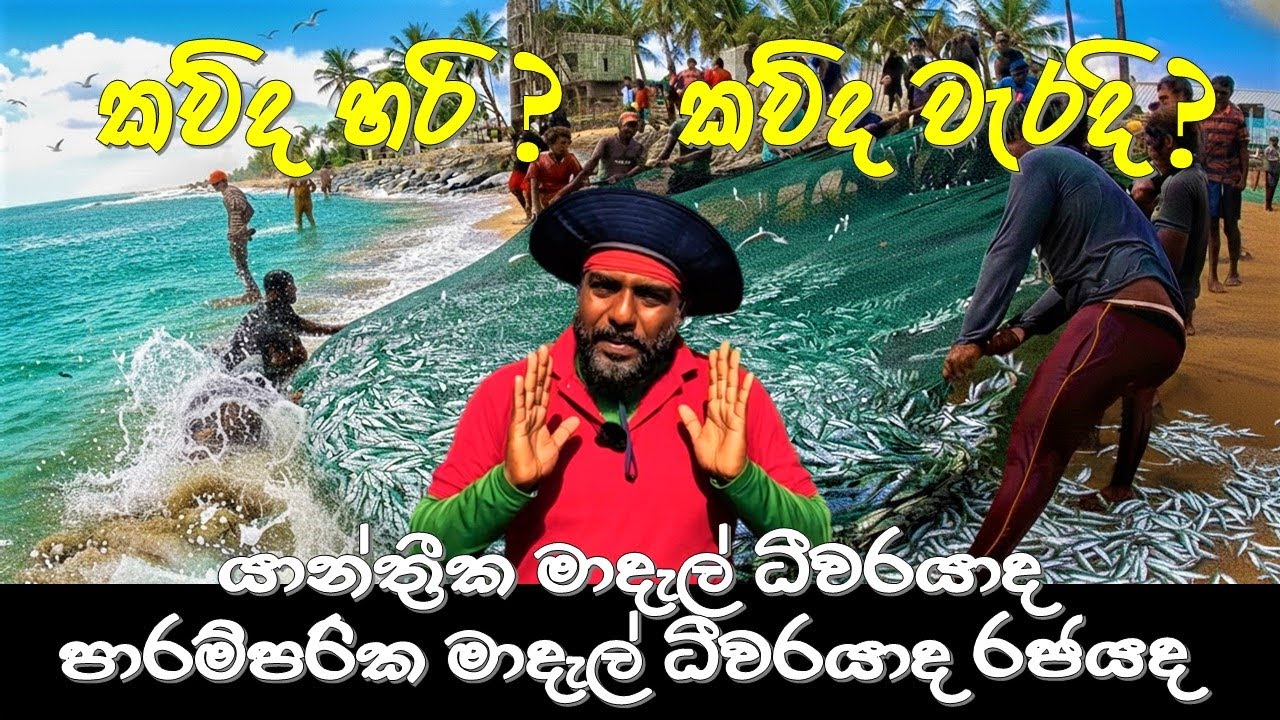 කව්ද හරි කව්ද වැරදි ??? | Biggest current fishing situation in Sri Lanka now | මාදැල් ධීවරයා ???