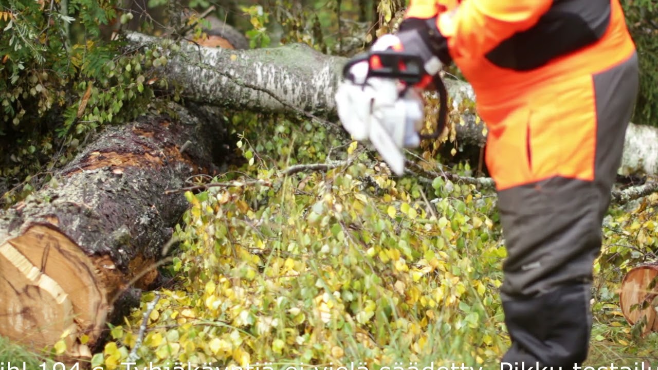 stihl 194 c