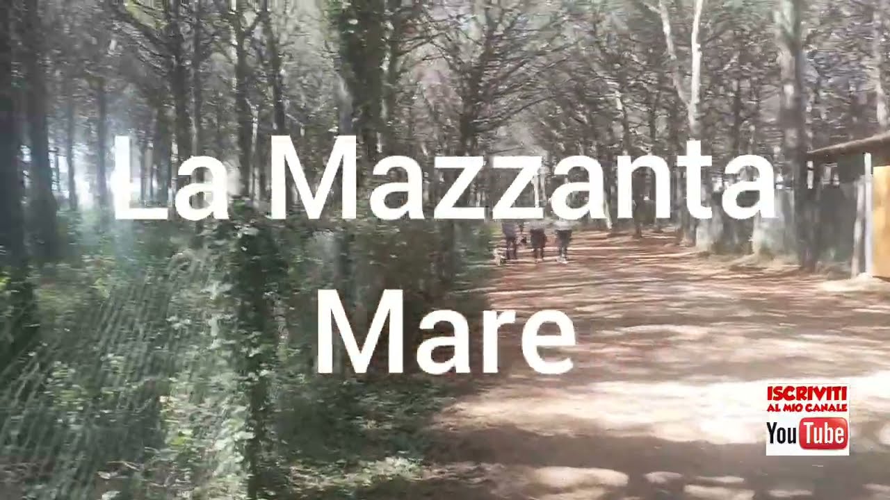 La Mazzanta mare.                                 Bandiera Blu