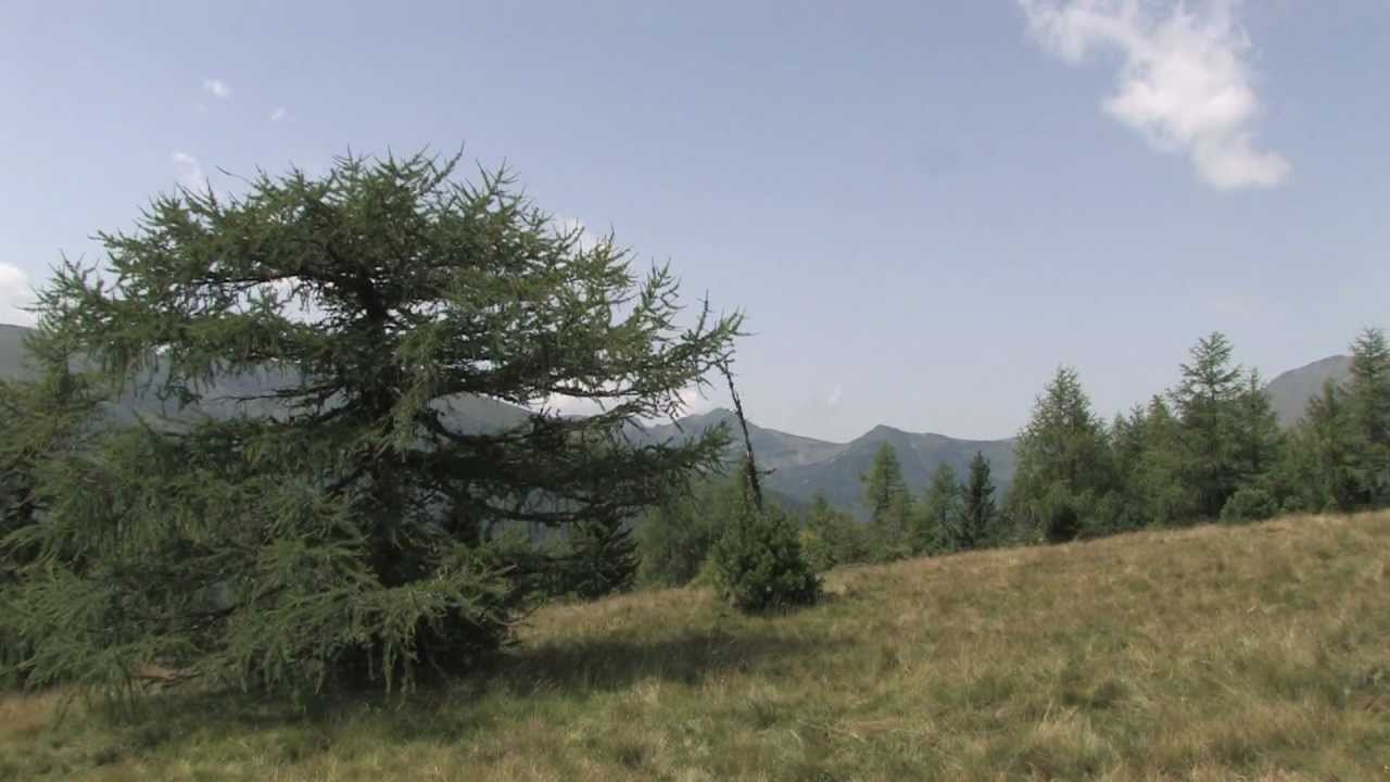 Flattnitz